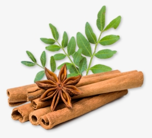 Cinnamon
