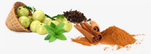 Ayurveda Png Hd - Organic Amla Fruit Powder 100 Veg Capsules. Pure And