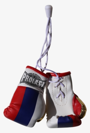 Prolast® Russia Mini Boxing Gloves - Boxing