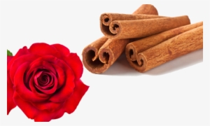 Moonspice - Biscotti Mela E Cannella Iperproteici