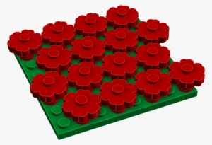 Flower Field - Flower