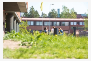 Crystal Flowers In Halls Of Mirrors Course - Human