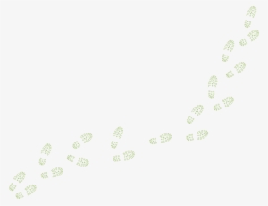 Next Item Huellas De Zapatos De - Sea Turtle