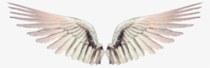 O Mundo Invisível É Misterioso Atrai - Asa De Anjo Gif