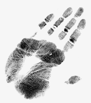 Zoom Diseño Y Fotografía - Fingerprints