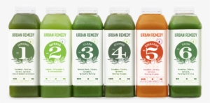 Green Juice Cleanse - Revolution