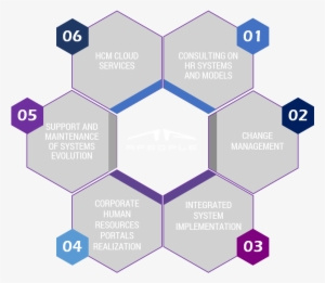 Human Resource Management