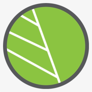 Leaf Circle Png