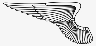 Vector Graphics - Air Force Wings Png
