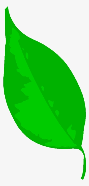 Circle The Leaf With 0 Bugs - Leaf