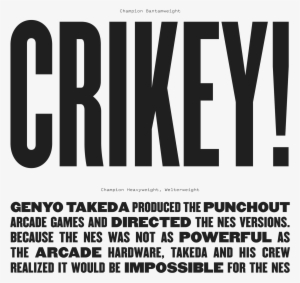 Font Review Journal Specimen Font Review Journal Specimen - Teacher