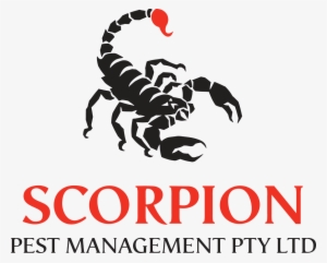 Image - Scorpion Pest Management