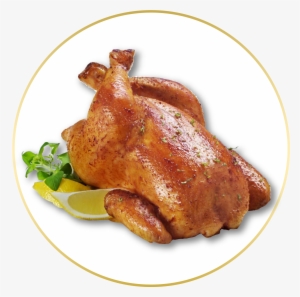 22- Un Pollo Asado - Cat Looks Like Turkey