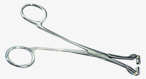 Septum Forceps 6" No Ratchet - Surgical Instrument