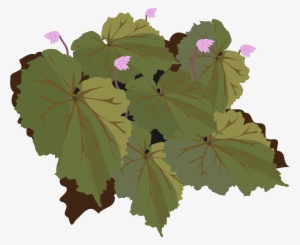 This Free Icons Png Design Of Begonia-01