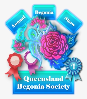 Click Here To See The 2012 Annual Begonia Slideshow - Begonia