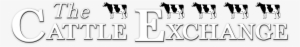 The Cattle Exchange - Dairy Cow