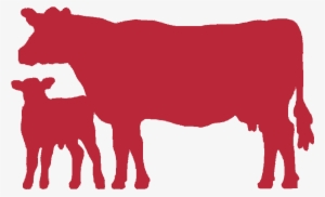 Dairy Cow Png