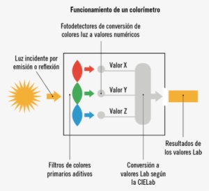 Basándose En Estos Tipos De Medición Del Color, Se - Color Management
