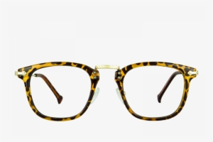 Begonia Écaille - Glasses