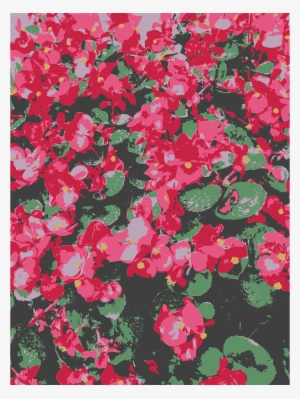 Big Image - Impatiens