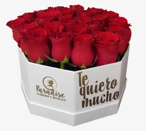 Caja De Rosa Roja C-19 - Garden Roses