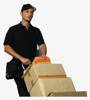 Servicio De Mozos - Mozo De Descarga