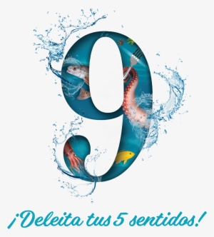 Novena Edición Festival De Pescados Y Mariscos - Cleanliness In Islam: A Comprehensive Guide To Tahara