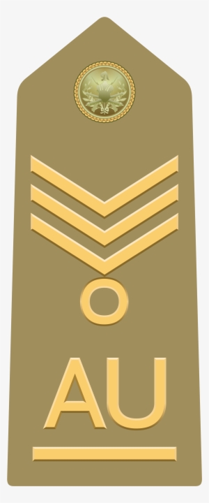 Allievo Ufficiale Capo Scelto Di Reggimento Of The - Allievo Ufficiale Grado