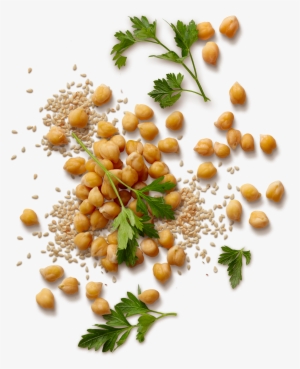 Clipart Resolution 1200*1410 - Hummus Beans Png
