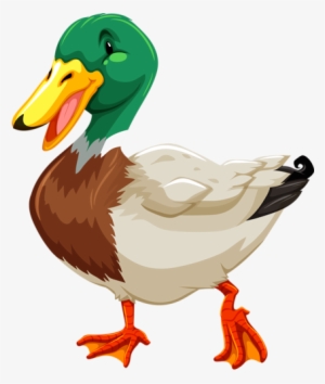 Visit - Different Kind Of Ducks