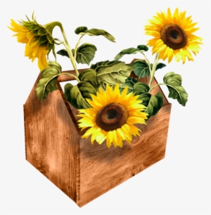 Cut Sunflowers - Clip Art