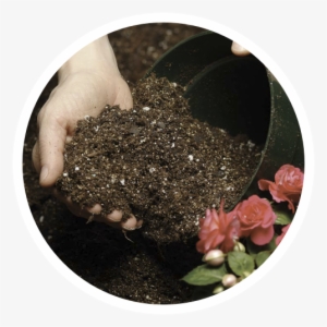 Professional Growing Media Catalog - Artificial Flower