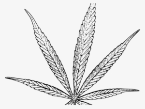 Drawn Weed Tobacco Leaf - Thc Adult Coloring Book: Marijuana Mini Posters [book]