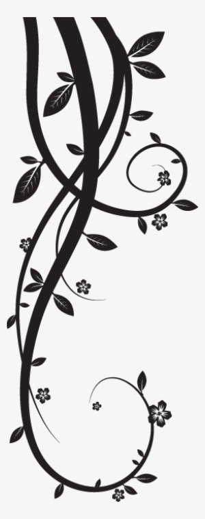 Vines - Transparent Black And White Vines