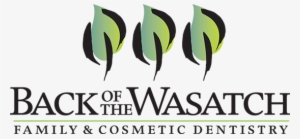 Procedurespediatric Dentistrytobacco Use - Back Of The Wasatch