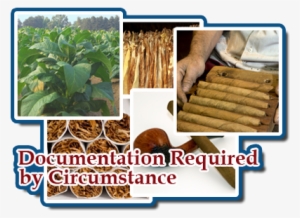 Tobacco Industry Collage With Large Text 'documentation - Sigar