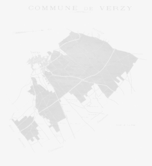 With The Vines An Exceptional - Poster