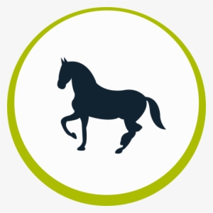 Equine - Icono Caballo Png