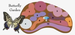 Butterfly Garden Design