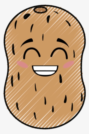 Potato