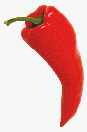 Chili Pepper Red - Chili Pepper