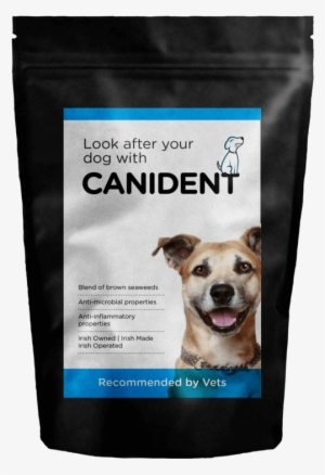 Look After Your Pet's Health - Cat And Dog Buddies [book]