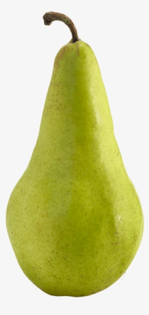 Concorde - Pear