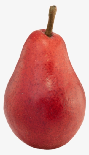 Starkrimson - Starkrimson Pear