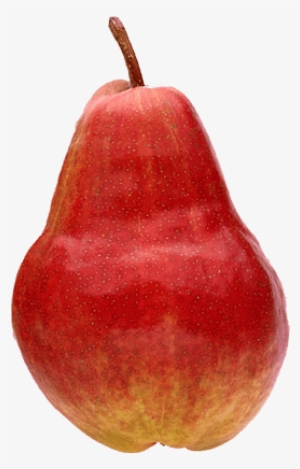 Red Bartlett - Fruit