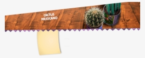 Foto Principal - Cactus
