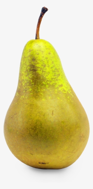 Asian Pear