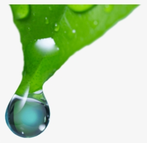 Aegea Medical's Adaptive Vapor Ablation Technology - Vesipisaroita