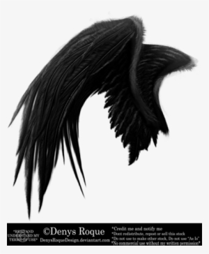 Vieja Versión Ala Negra Por Denysroquedesign Alas Negras, - Ala De Angel Negra